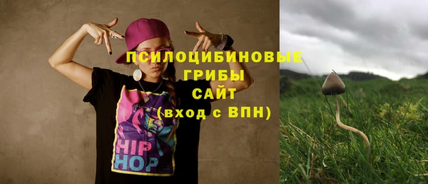 таблы Каменка