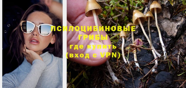 таблы Каменка