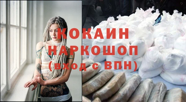 дживик Каменногорск