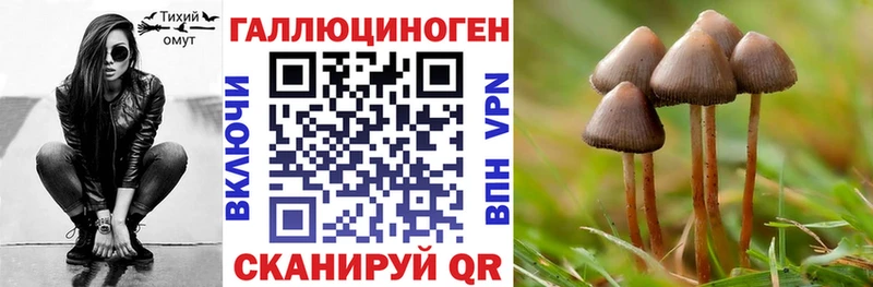 Купить где  Сухой Лог  Галлюциногенные грибы прущие грибы 